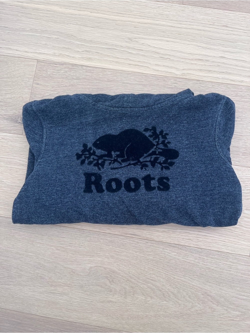 Roots funnel neck pullover hoodie